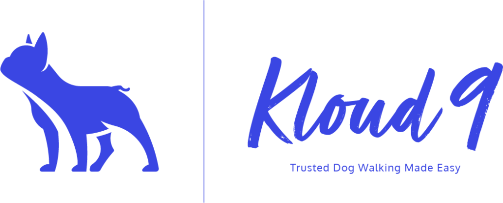 Kloud 9 Logo